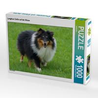 Produktbild: CALVENDO Puzzle Langhaar Collie auf der Wiese 1000 Teile Lege-Gr&ouml;&szlig;e 64 x 48 cm Foto-Puzzle Bild von kattobello