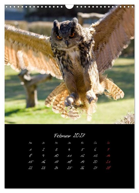 Produktbild: Tiere (Wandkalender 2027 DIN A3 hoch), CALVENDO Monatskalender