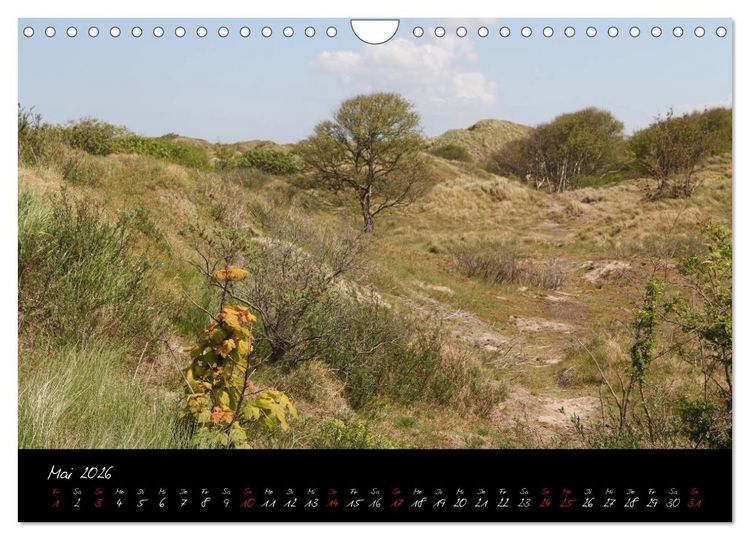 Produktbild: Baltrum (Wandkalender 2026 DIN A4 quer), CALVENDO Monatskalender