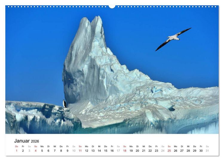 Produktbild: Im Reich der Pinguine (hochwertiger Premium Wandkalender 2026 DIN A2 quer), Kunstdruck in Hochglanz