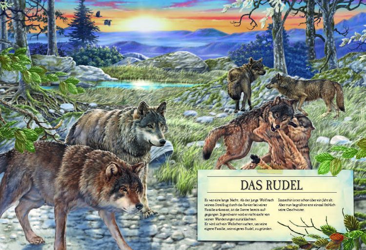 Produktbild: Verborgene Welt der W&ouml;lfe