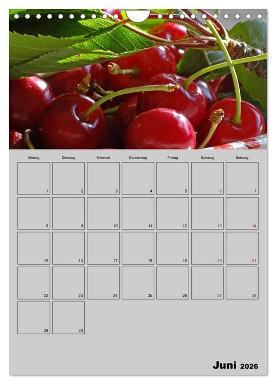 Produktbild: Zeitgewinn (Mein Terminplaner) (Wandkalender 2026 DIN A4 hoch), CALVENDO Monatskalender