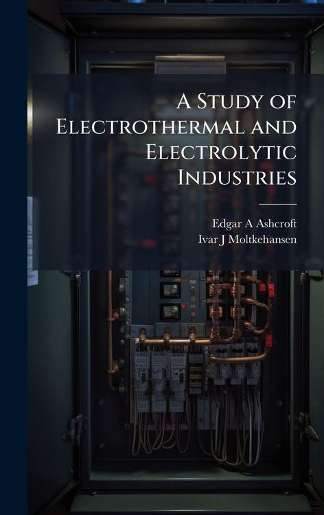 Produktbild: A Study of Electrothermal and Electrolytic Industries