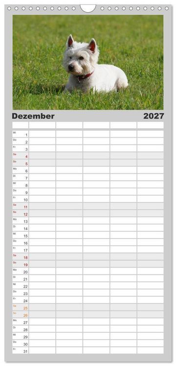 Produktbild: Familienplaner 2027 - West Highland White Terrier - Selbstbewustes Powerpaket - der Westie mit 5 Spalten (Wandkalender, 21 x 45 cm) CALVENDO