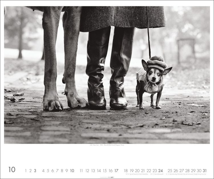 Produktbild: Magnum Photos - Elliott Erwitt Kalender 2027