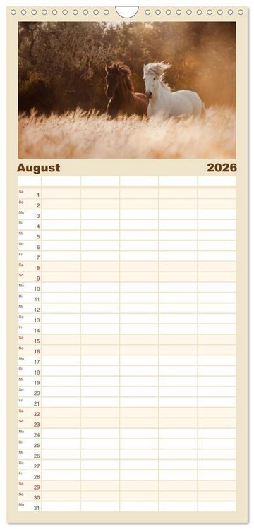 Produktbild: Familienplaner 2026 - Spiegel deiner Seele mit 5 Spalten (Wandkalender, 21 x 45 cm) CALVENDO