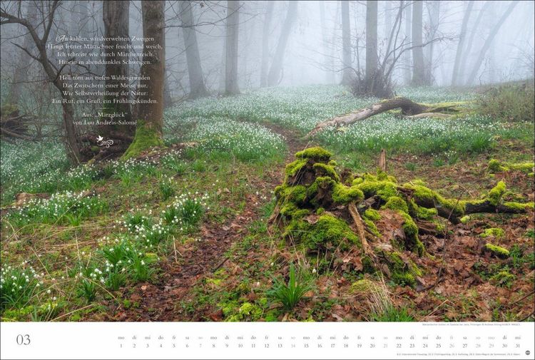 Produktbild: Der deutsche Wald - Ein literarischer Spaziergang Kalender 2027 - Ein literarischer Spaziergang