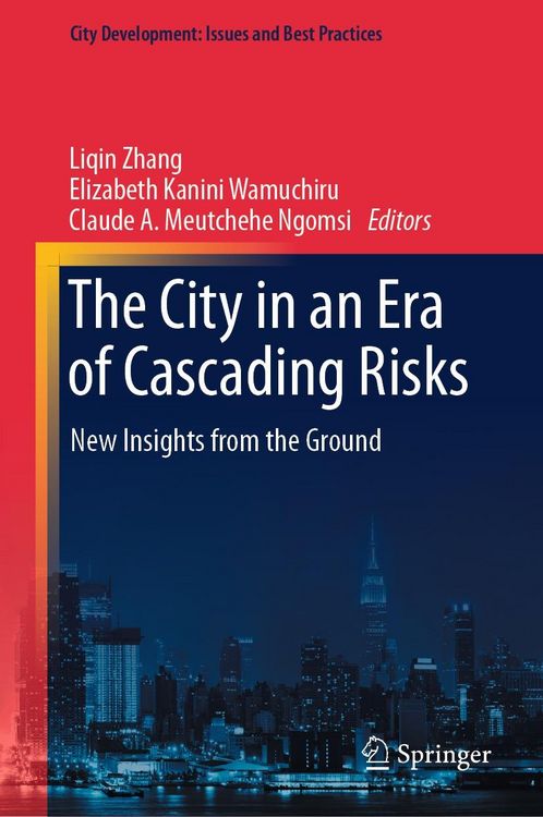 Produktbild: The City in an Era of Cascading Risks