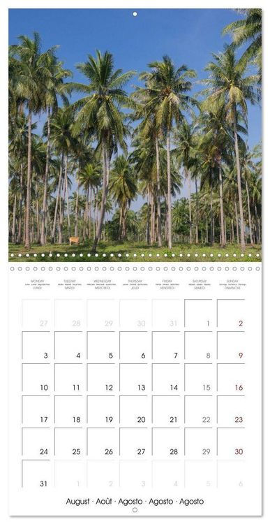 Produktbild: CAMBODIA Amazing Planet (Wall Calendar 2026 12 &times; 12 Inch) CALVENDO 12 Month Wall Calendar
