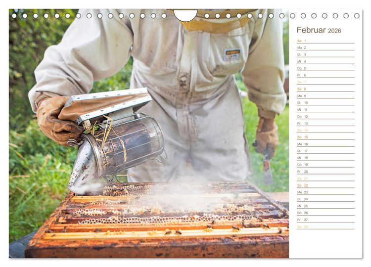 Produktbild: S&uuml;&szlig;es Gold: Imker, Bienen & Honig (Wandkalender 2026 DIN A4 quer), CALVENDO Monatskalender