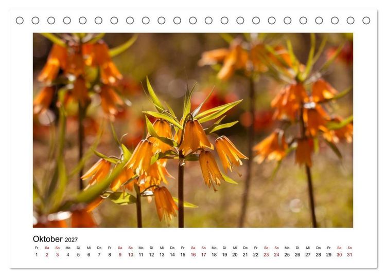 Produktbild: Oranger Bl&uuml;tentraum (Tischkalender 2027 DIN A5 quer), CALVENDO Monatskalender