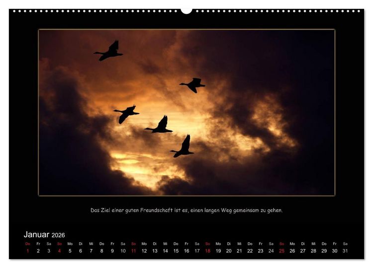 Produktbild: Freundschaft (Wandkalender 2026 DIN A2 quer), CALVENDO Monatskalender