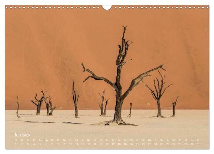 Produktbild: Astrein! - Der Baumkalender 2026 (Wandkalender 2026 DIN A3 quer), CALVENDO Monatskalender