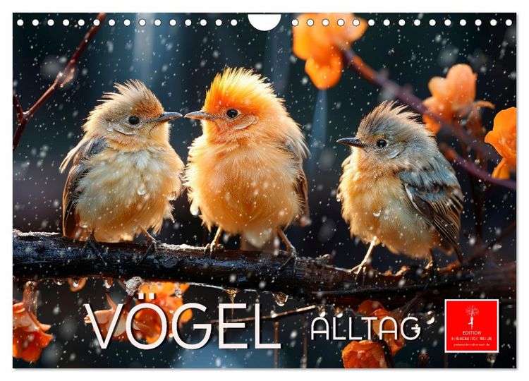 Produktbild: V&ouml;gel Alltag (Wandkalender 2026 DIN A4 quer), CALVENDO Monatskalender