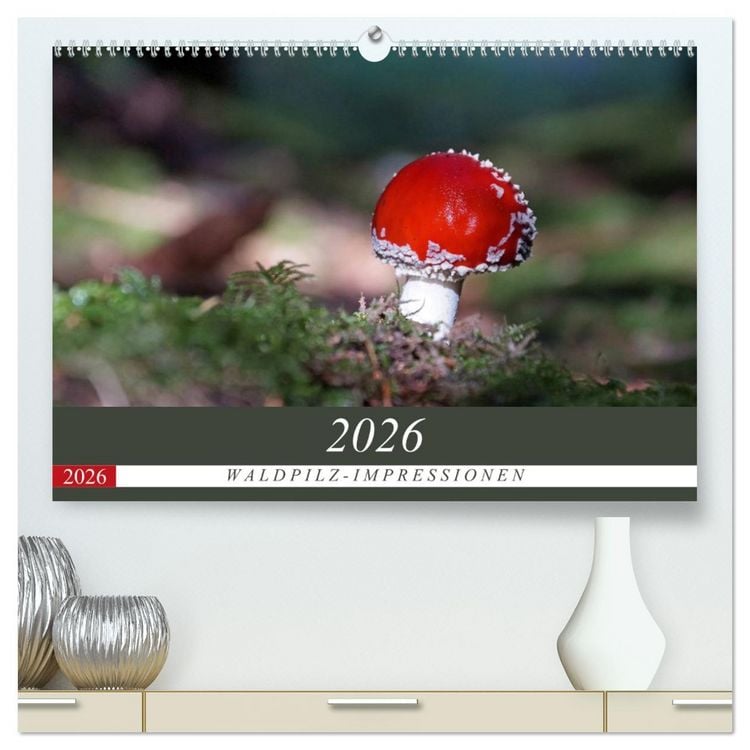 Produktbild: Waldpilz-Impressionen (hochwertiger Premium Wandkalender 2026 DIN A2 quer), Kunstdruck in Hochglanz