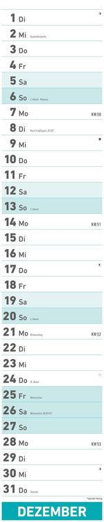 Superplaner 2026 - Streifenkalender 17x85 cm - mit Ringbindung - viel Platz für Notizen - Langplaner - Wandkalender - Küchenkalender - Alpha Edition