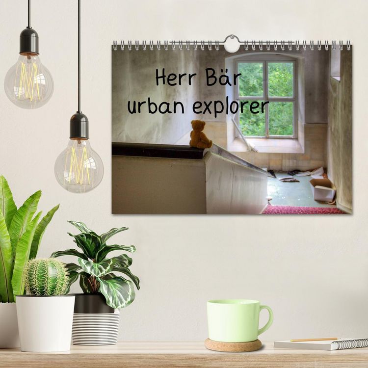 Produktbild: Herr B&auml;r urban explorer (Wandkalender 2026 DIN A4 quer), CALVENDO Monatskalender