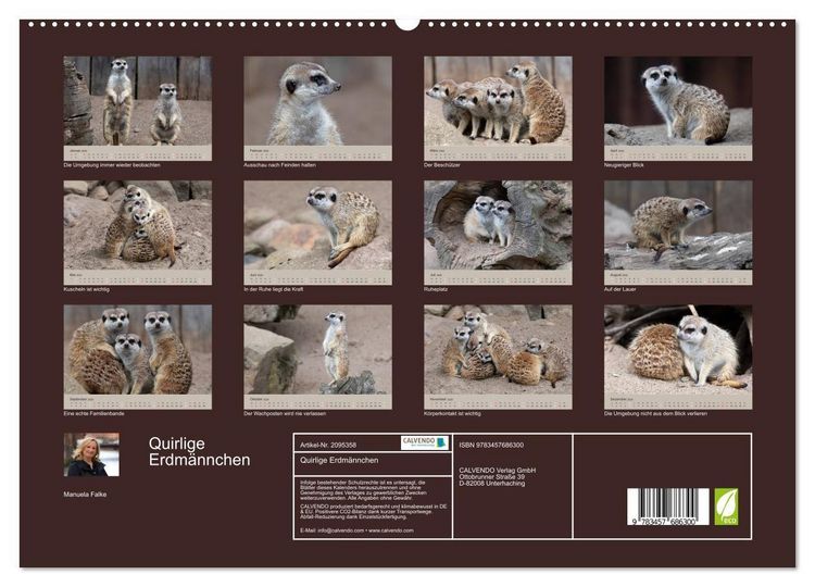 Produktbild: Quirlige Erdm&auml;nnchen (hochwertiger Premium Wandkalender 2026 DIN A2 quer), Kunstdruck in Hochglanz
