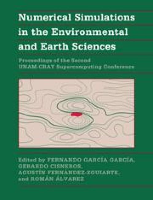 Produktbild: Numerical Simulations in the Environmental and Earth Sciences