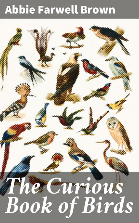 Produktbild: The Curious Book of Birds