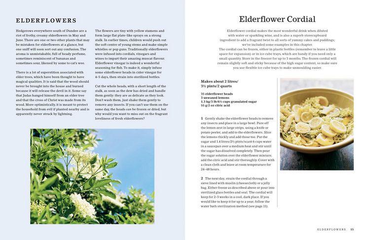 Produktbild: HEDGEROW COOKBOOK HB