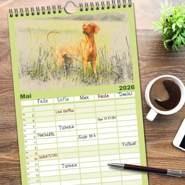 Produktbild: Familienplaner 2026 - Magyar Vizsla 2026 mit 5 Spalten (Wandkalender, 21 x 45 cm) CALVENDO