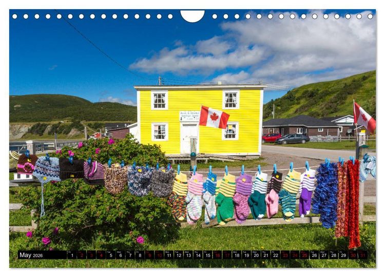 Produktbild: Island of Newfoundland (Wall Calendar 2026 DIN A4 landscape), CALVENDO 12 Month Wall Calendar