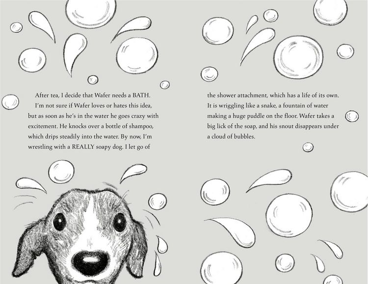 Produktbild: The Newshound