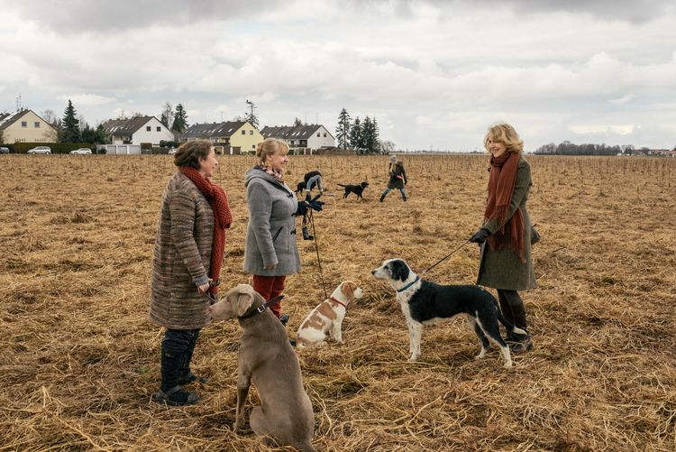 Produktbild: Der Hund begraben