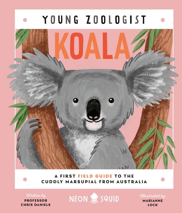 Produktbild: Koala (Young Zoologist)