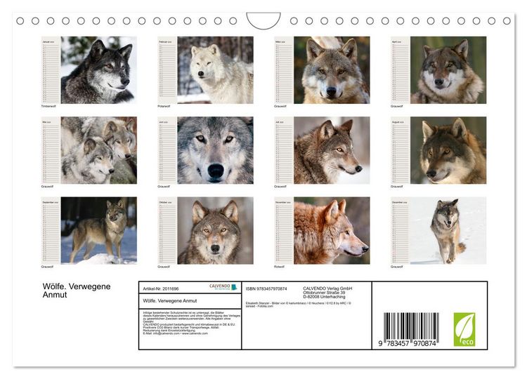 Produktbild: W&ouml;lfe. Verwegene Anmut (Wandkalender 2026 DIN A4 quer), CALVENDO Monatskalender