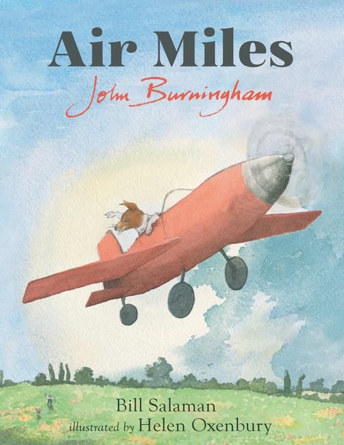Produktbild: Air Miles