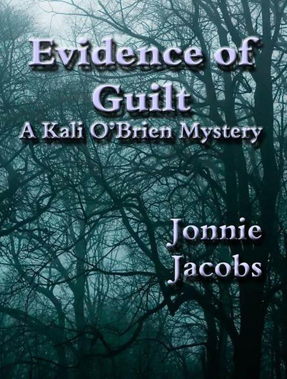 Produktbild: Evidence of Guilt (Kali O'Brien legal suspense, #2)
