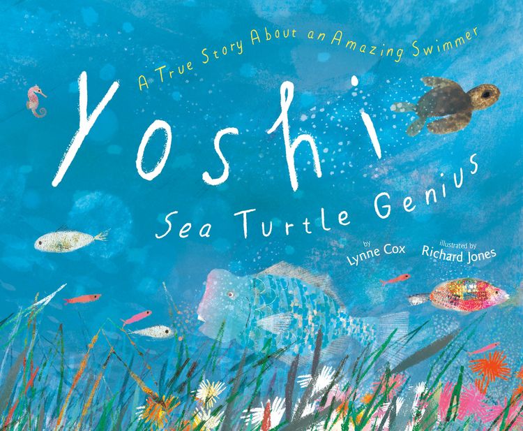 Produktbild: Yoshi, Sea Turtle Genius