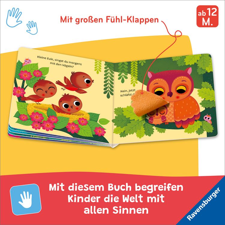 Produktbild: Wo bist du, kleine Eule?