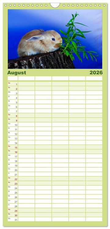 Produktbild: Familienplaner 2026 - Lustige Kaninchen mit 5 Spalten (Wandkalender, 21 x 45 cm) CALVENDO