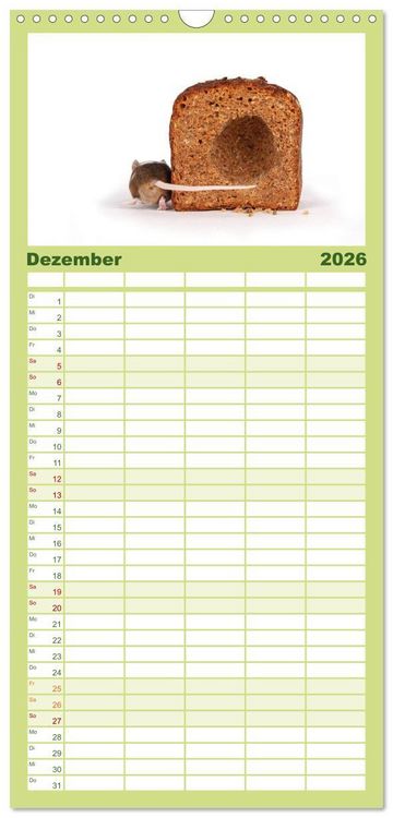 Produktbild: Familienplaner 2026 - S&uuml;&szlig;e M&auml;use und Coole Ratten mit 5 Spalten (Wandkalender, 21 x 45 cm) CALVENDO