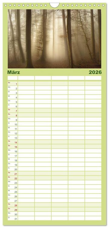 Produktbild: Familienplaner 2026 - Mysterium Wald mit 5 Spalten (Wandkalender, 21 x 45 cm) CALVENDO