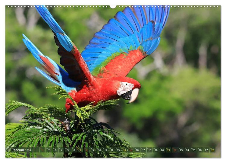 Produktbild: Tierparadies Pantanal (hochwertiger Premium Wandkalender 2026 DIN A2 quer), Kunstdruck in Hochglanz