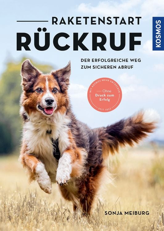 Produktbild: Raketenstart-Rückruf