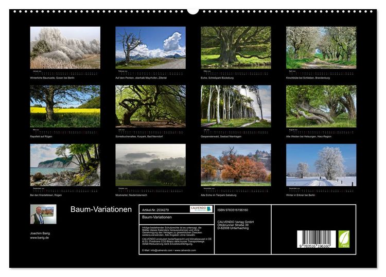 Produktbild: Baum-Variationen (hochwertiger Premium Wandkalender 2026 DIN A2 quer), Kunstdruck in Hochglanz