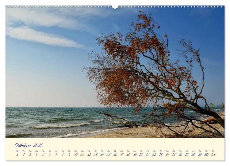 Produktbild: OSTSEEGL&Uuml;CK - Gl&uuml;cksmomente auf dem Dar&szlig; (hochwertiger Premium Wandkalender 2026 DIN A2 quer), Kunstdruck in Hochglanz