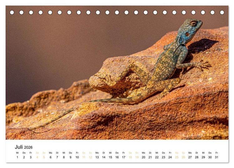 Produktbild: Jordanien - Land zwischen Antike und Moderne (Tischkalender 2026 DIN A5 quer), CALVENDO Monatskalender