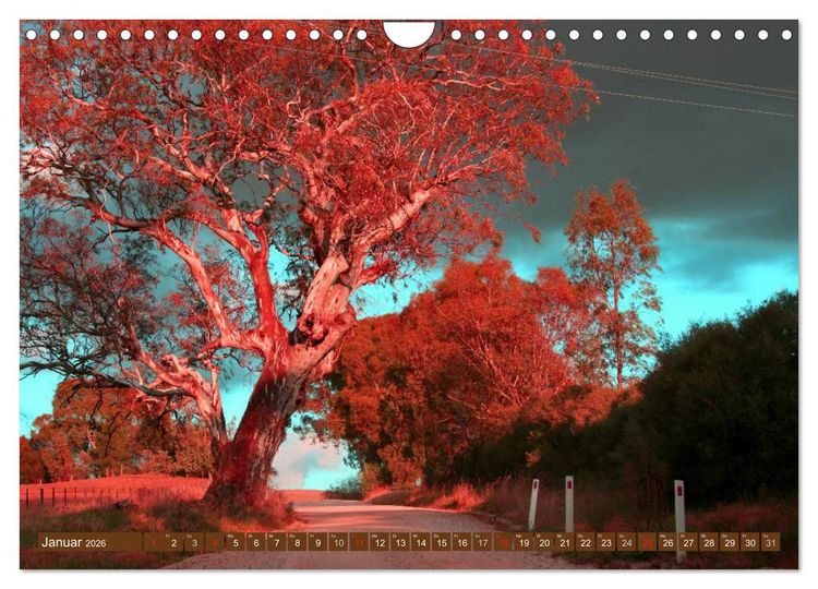 Produktbild: Australien &bull; Impressionen (Wandkalender 2026 DIN A4 quer), CALVENDO Monatskalender