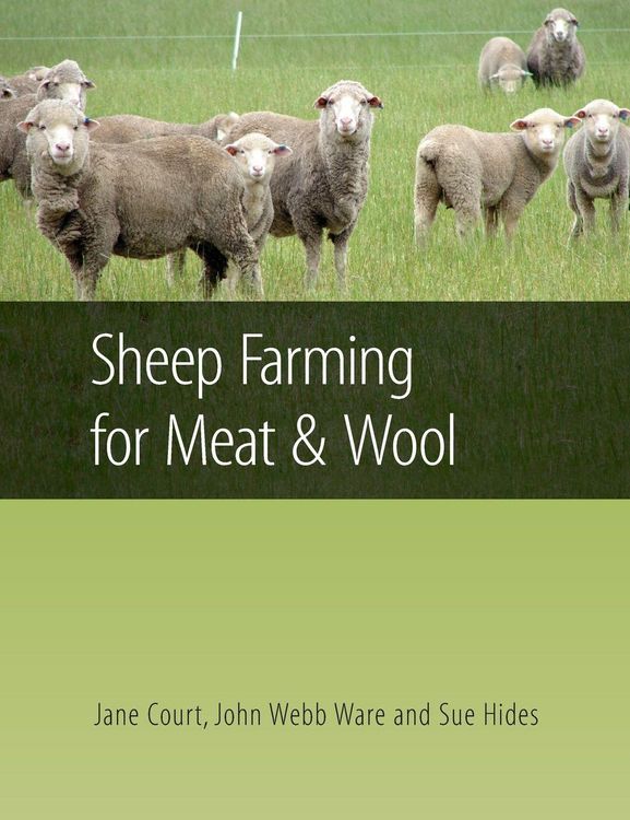 Produktbild: Sheep Farming for Meat and Wool