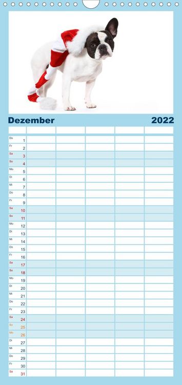 Produktbild: Bullys - Franz&ouml;sische Bulldoggen 2022 - Familienplaner hoch (Wandkalender 2022 , 21 cm x 45 cm, hoch)