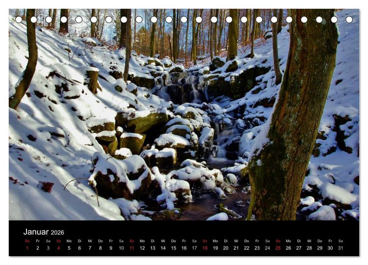 Produktbild: Faszination Wald. Waldimpressionen aus Nordhessen von Lutz Klapp (Tischkalender 2026 DIN A5 quer), CALVENDO Monatskalender