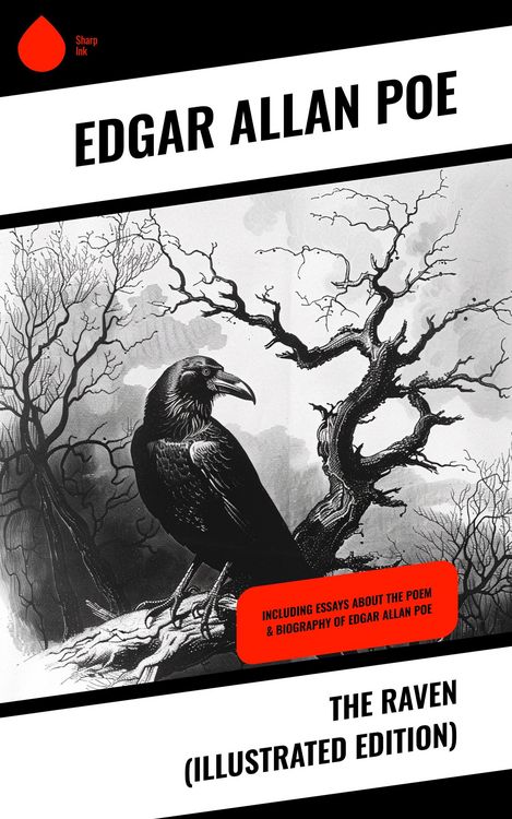 Produktbild: The Raven (Illustrated Edition)