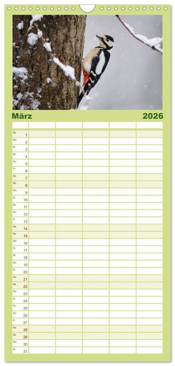Produktbild: Familienplaner 2026 - V&ouml;gel mit 5 Spalten (Wandkalender, 21 x 45 cm) CALVENDO