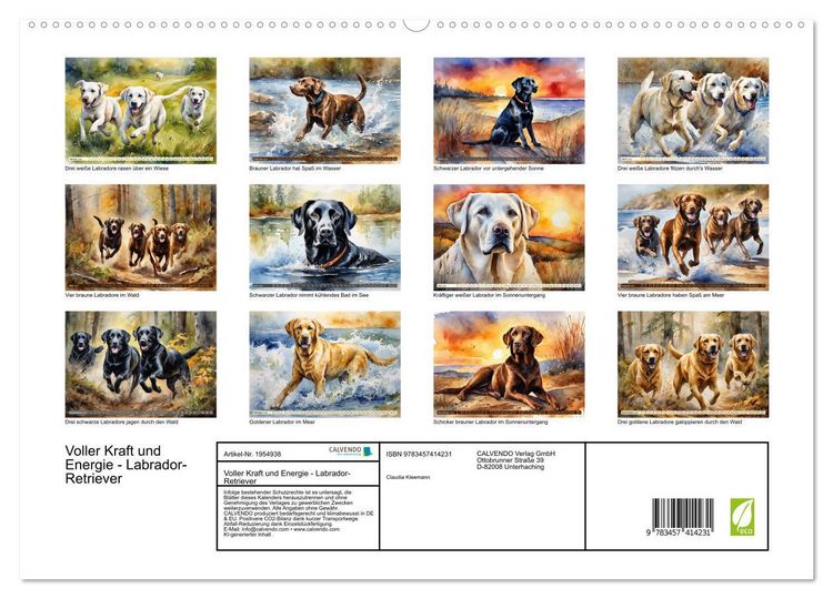Produktbild: Voller Kraft und Energie - Labrador-Retriever (hochwertiger Premium Wandkalender 2026 DIN A2 quer), Kunstdruck in Hochglanz
